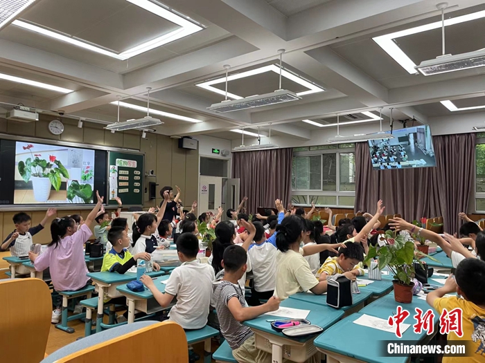 杭州市星洲小学与杭州市淳安县枫树岭镇中心小学的同步课堂。杭州市星洲小学供图
杭州市星洲小学与杭州市淳安县枫树岭镇中心小学的同步课堂。杭州市星洲小学供图